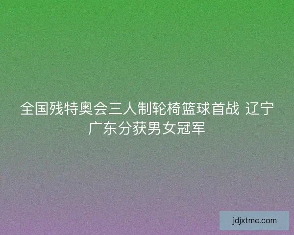全国残特奥会三人制轮椅篮球首战 辽宁广东分获男女冠军